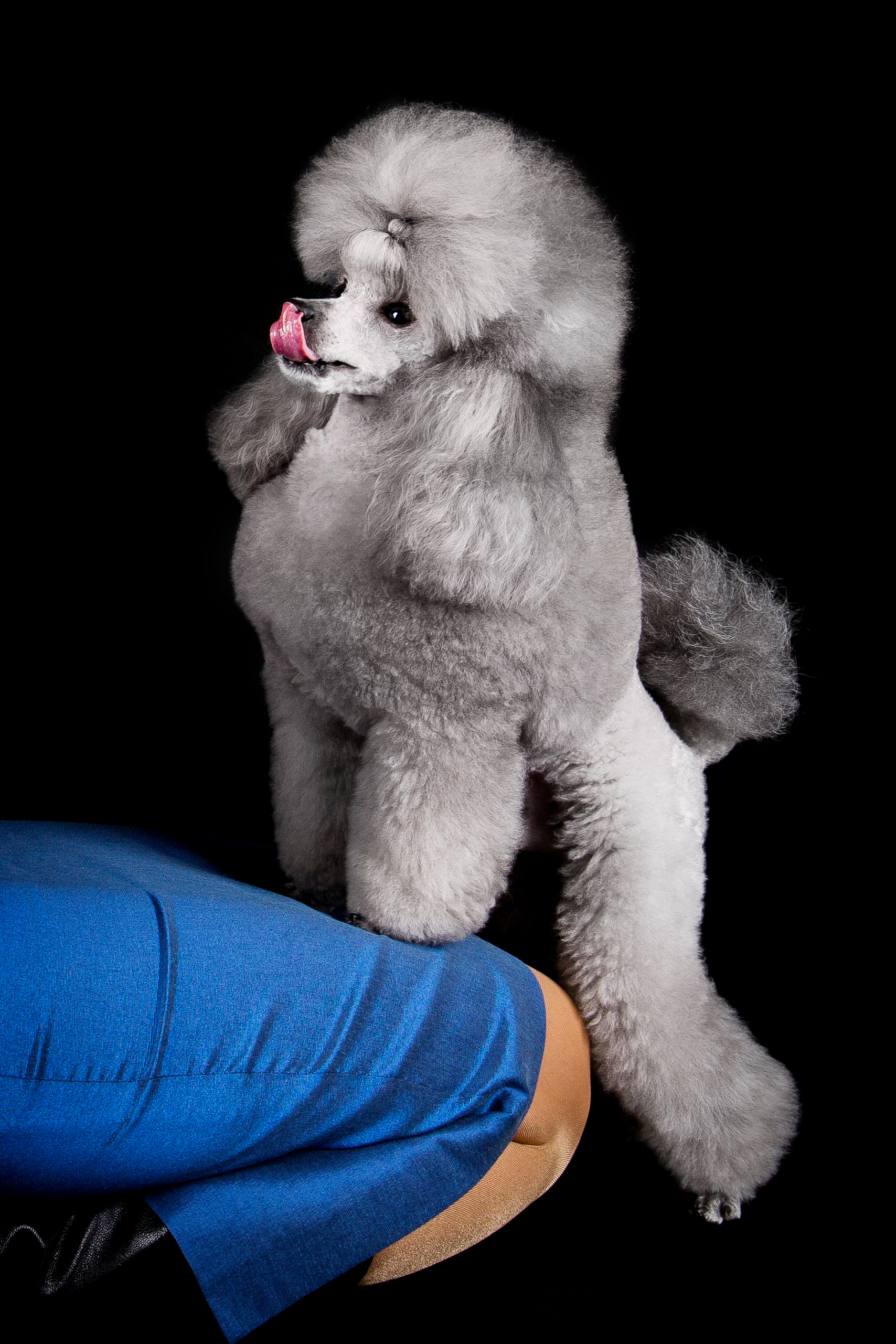 ClaudiaKiefer-180131-10