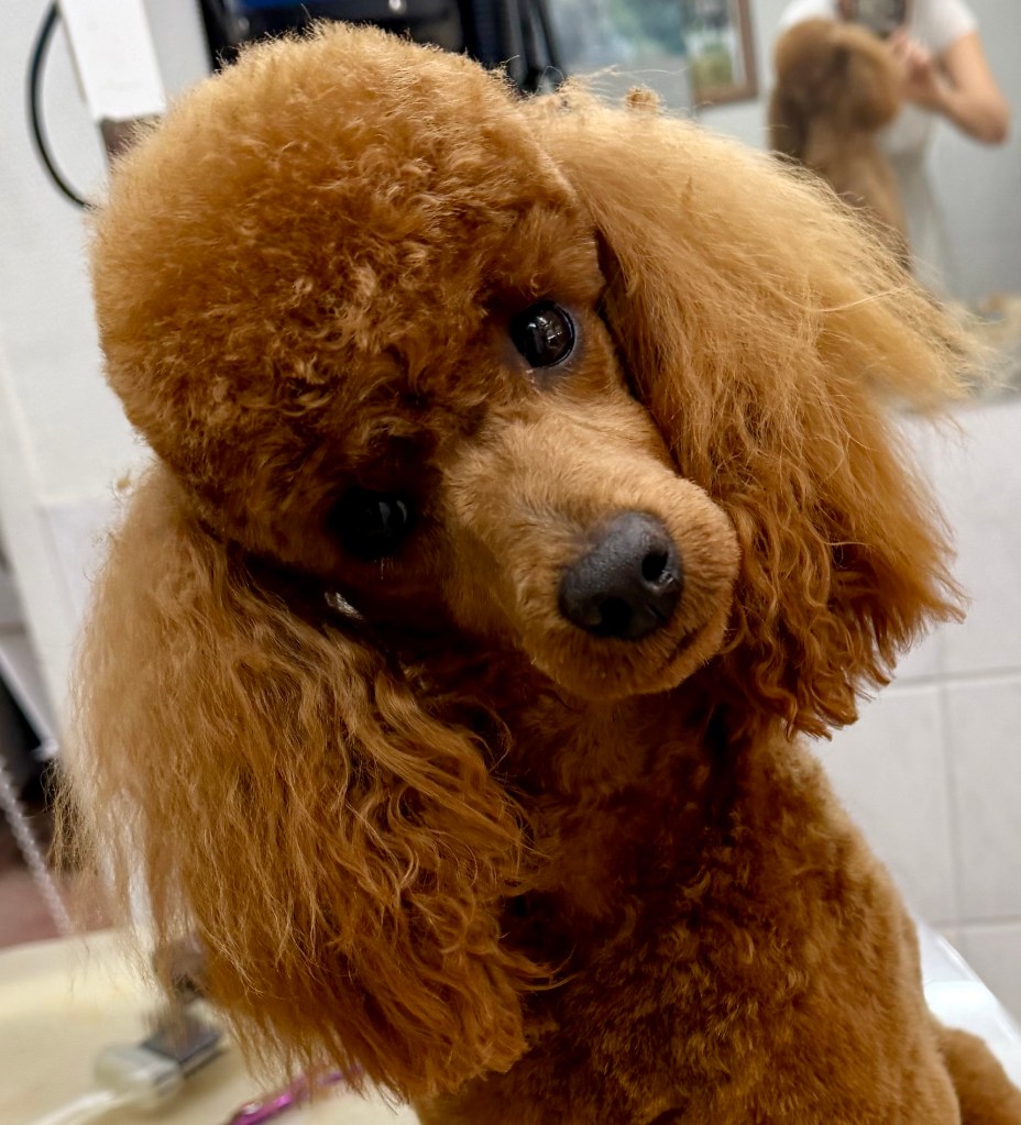 b3ff2c38-0c24-46ef-8a4d-4187a8ee415f